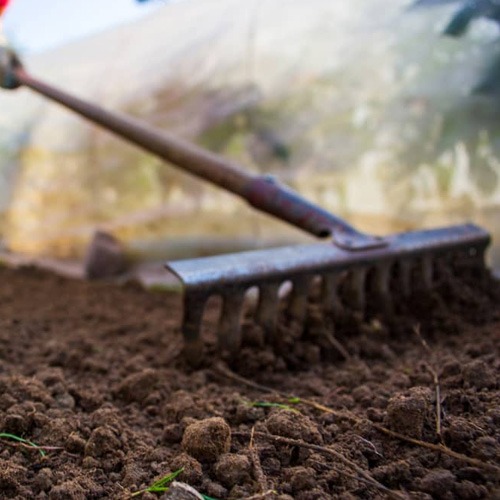 🌱 Preparar el suelo