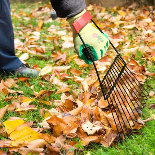 🍂 Retirar hojas y restos vegetales